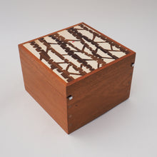 Load image into Gallery viewer, Silver Birch Jewellery Box