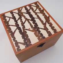 Load image into Gallery viewer, Silver Birch Jewellery Box