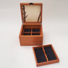 Load image into Gallery viewer, Silver Birch Jewellery Box