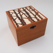 Load image into Gallery viewer, Silver Birch Jewellery Box