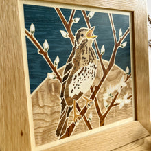 Load image into Gallery viewer, Song Thrush Marquetry Wall Hanging