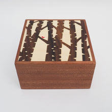 Load image into Gallery viewer, Large Silver Birch Sapele Trinket Box (Light)