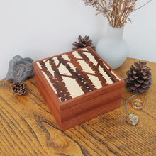 Load image into Gallery viewer, Large Silver Birch Sapele Trinket Box (Light)