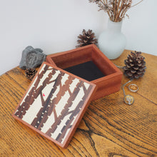 Load image into Gallery viewer, Large Silver Birch Sapele Trinket Box (Light)