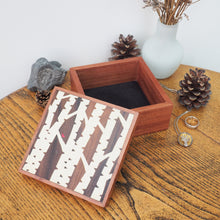 Load image into Gallery viewer, Large Silver Birch Sapele Trinket Box (Dark)