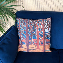 Load image into Gallery viewer, Vegan Suede Cushions

