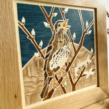 Load image into Gallery viewer, Song Thrush Marquetry Wall Hanging
