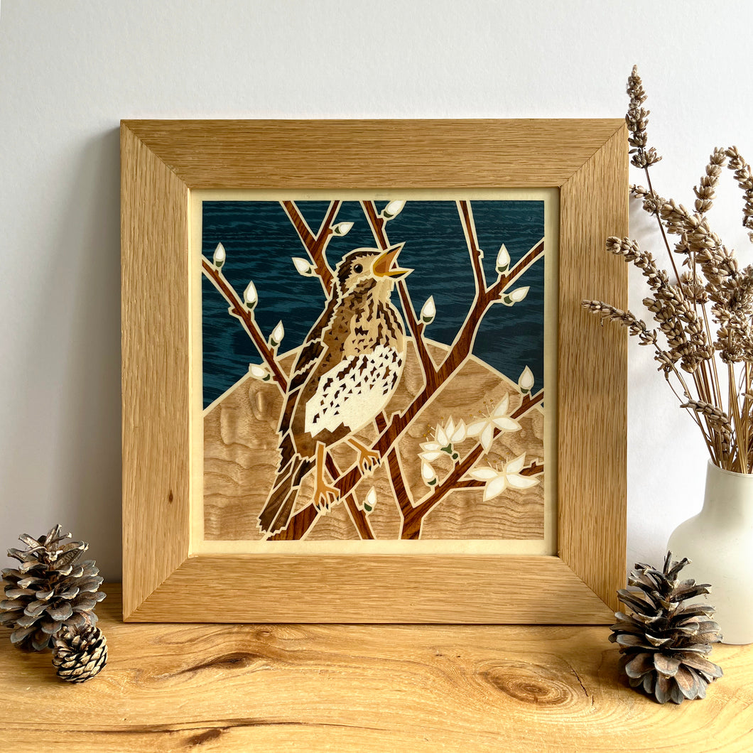 Song Thrush Marquetry Wall Hanging
