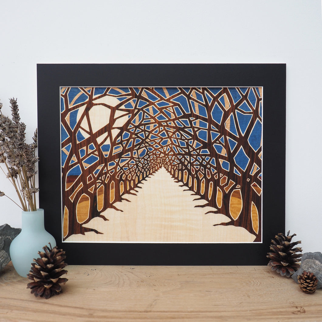 Avenue of trees large giclee print with black mount