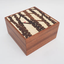 Load image into Gallery viewer, Large Silver Birch Sapele Trinket Box (Light)
